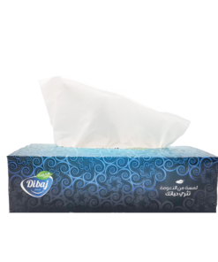 Dibaj Tissue Box 48 X 100units